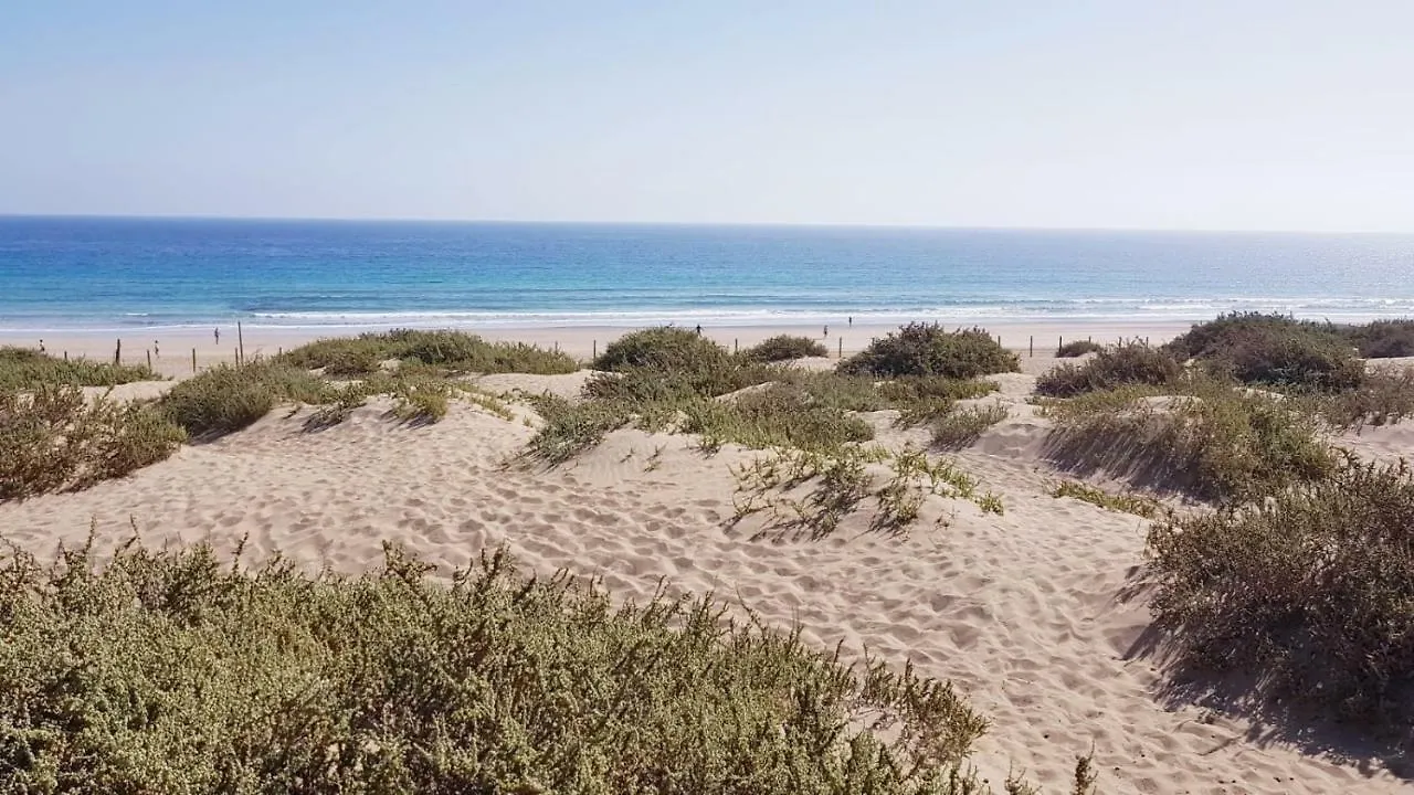 Apartamento Acogedor Appartamento Puerto del Rosario   Puerto del Rosario (Fuerteventura)